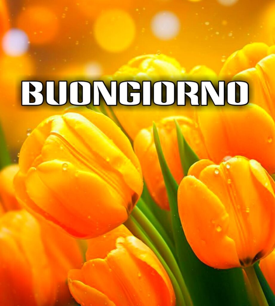 100 Immagini Buongiorno Gratis Per Whatsapp