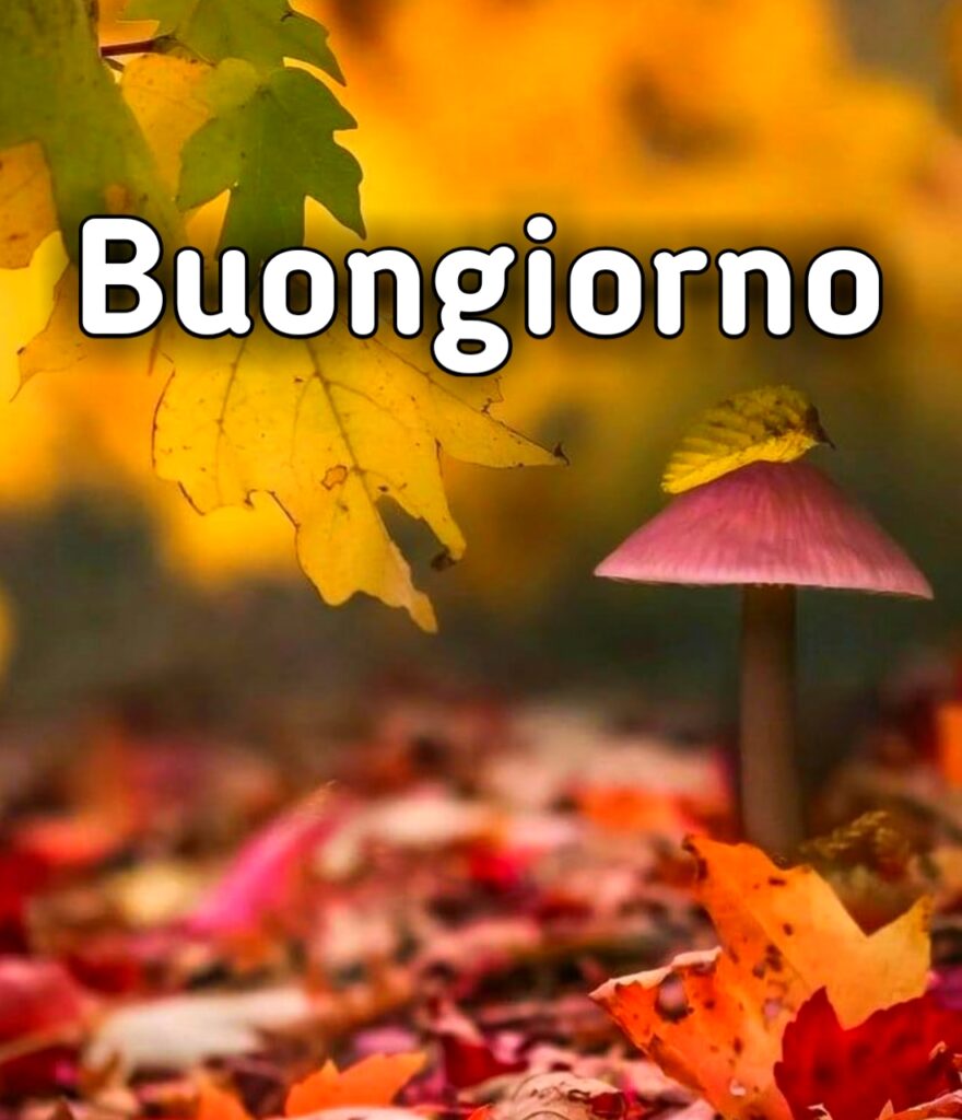 100 Immagini Buongiorno Sabato