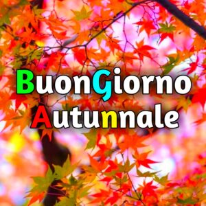 Read more about the article 2400+ Buongiorno Autunnale Immagini e Fotos Nuove Gratis 2025