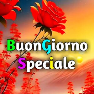 Read more about the article 3700+ Buongiorno Speciale Immagini, GIF, Fotos Nuove Gratis 2025