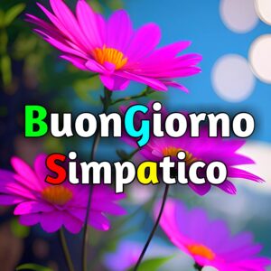 Read more about the article 4500+ Buongiorno Simpatico Immagini e Fotos Nuove Gratis Scaricamento 2025