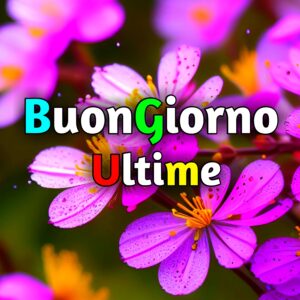 Read more about the article 5300+ Buongiorno Ultime Immagini e Fotos Nuove Gratis Scaricamento 2025