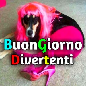 Read more about the article 7800+ Buongiorno Divertenti Immagini, GIF, Fotos Nuove Gratis 2025