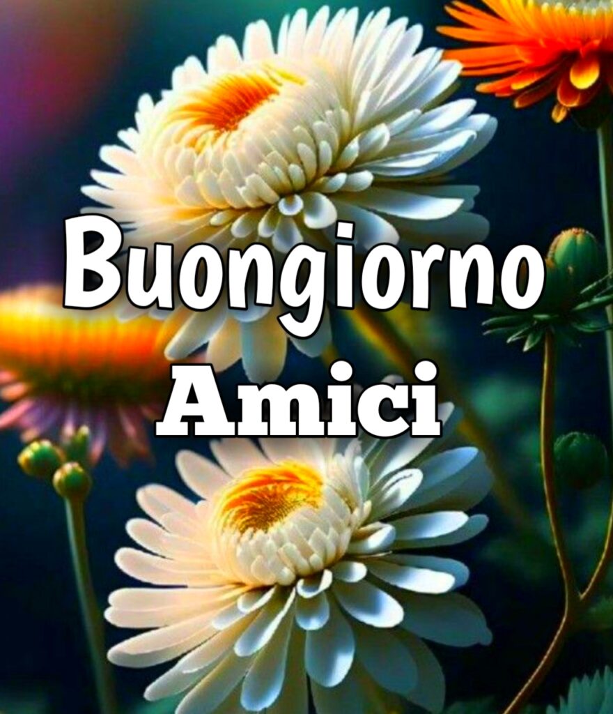 Amicizia Frasi Buongiorno Amici