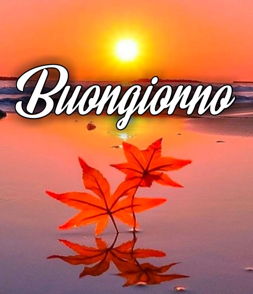 Buona Domenica Autunnale Divertente