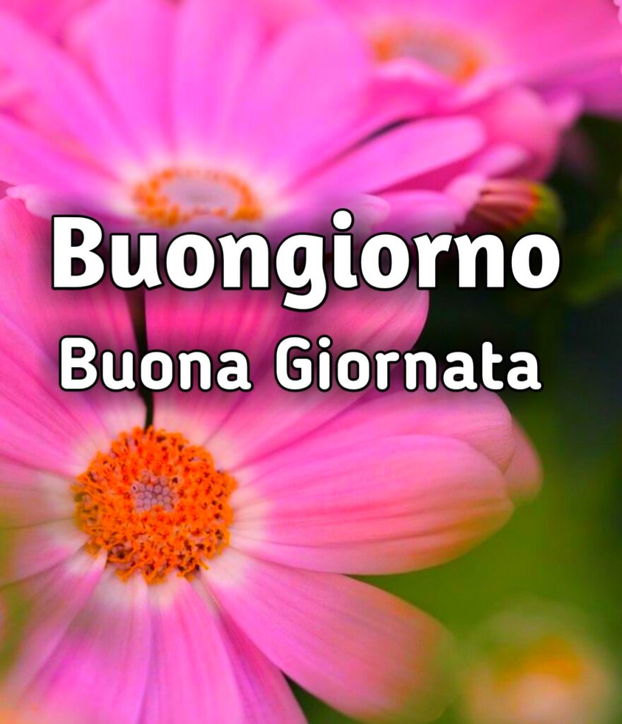 Buona Giornata Buongiorno