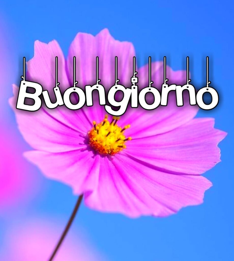 Buona Giornata Immagini Nuove