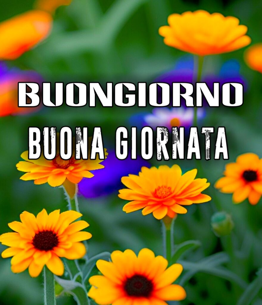 Buona Giornata Immagini Nuove Gratis