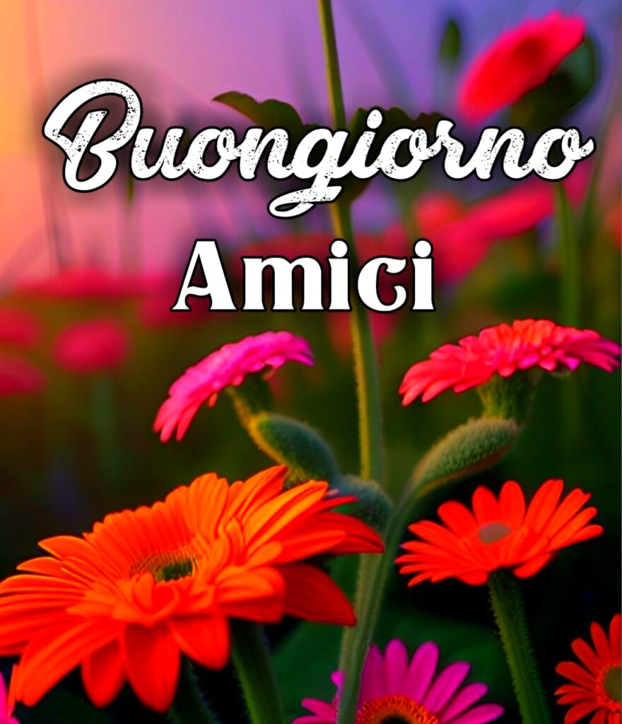 Buongiorno Amica Carissima