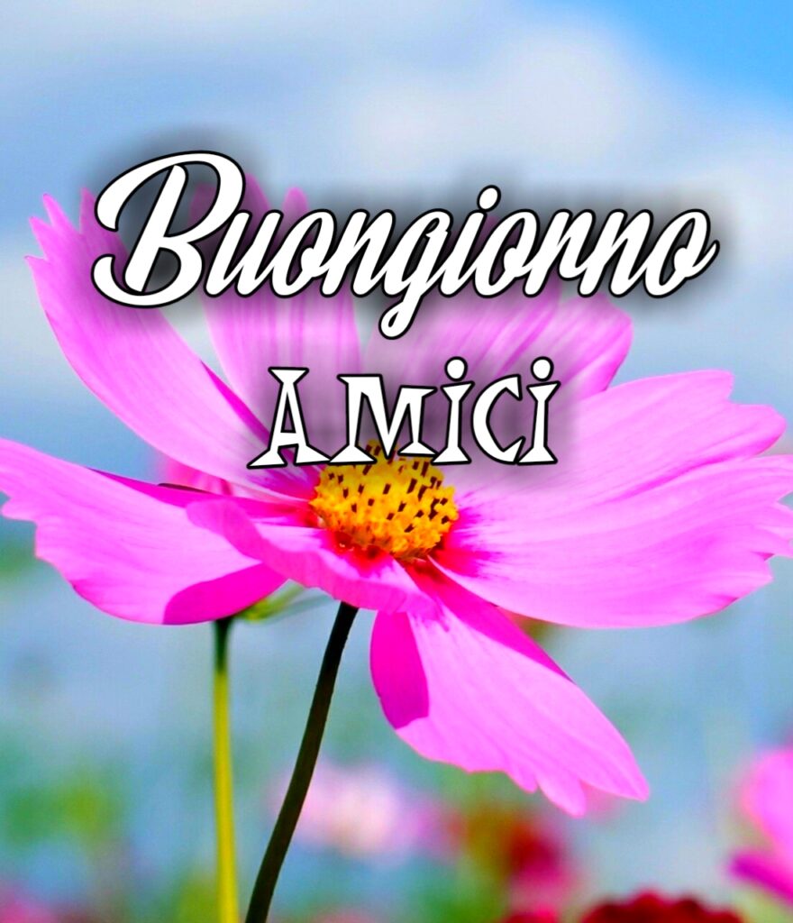 Buongiorno Amica Mia Immagini Nuove