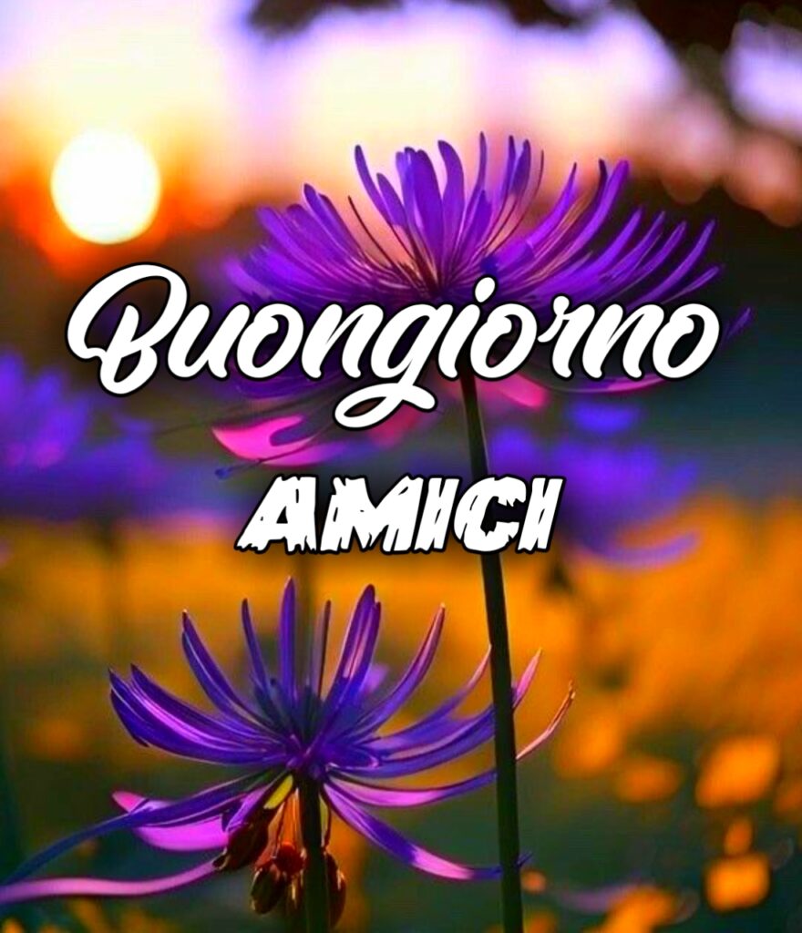 Buongiorno Amica Mia Ti Voglio Bene