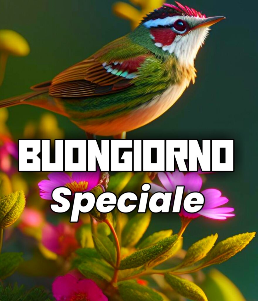 Buongiorno Amica Speciale