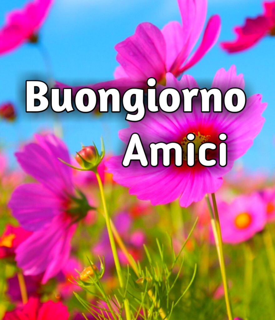 Buongiorno Amici Divertente