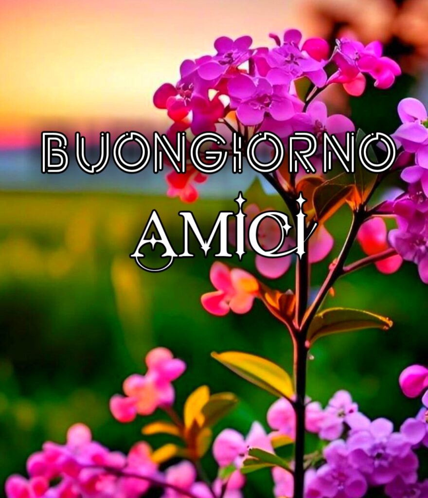 Buongiorno Amici Immagini