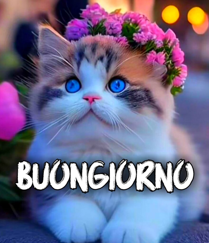 Buongiorno Animali