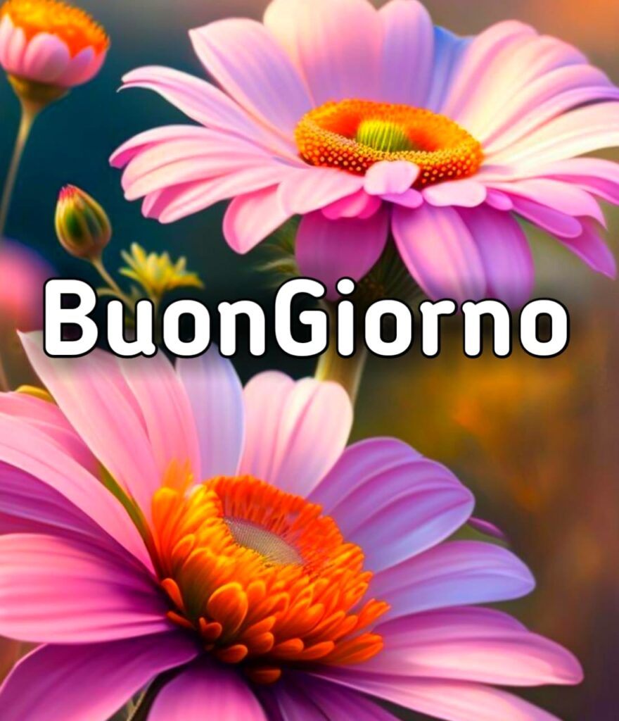 Buongiorno Bellissimi