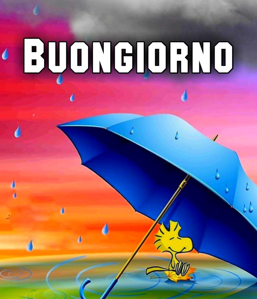 Buongiorno Buon Martedì Piovoso