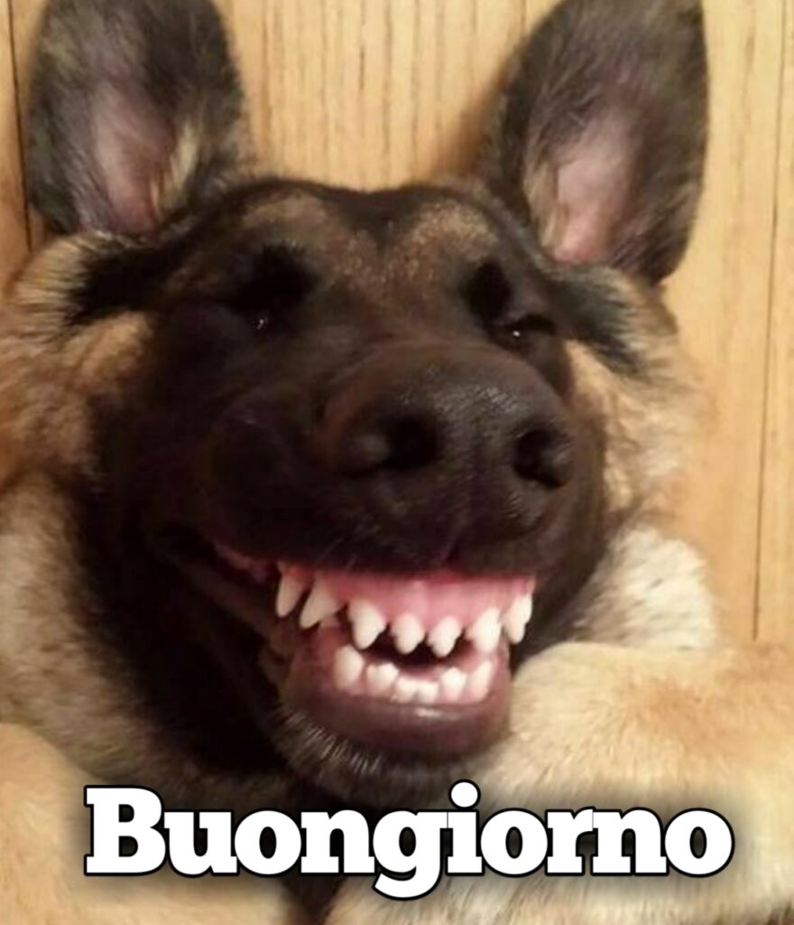 Buongiorno Da Ridere