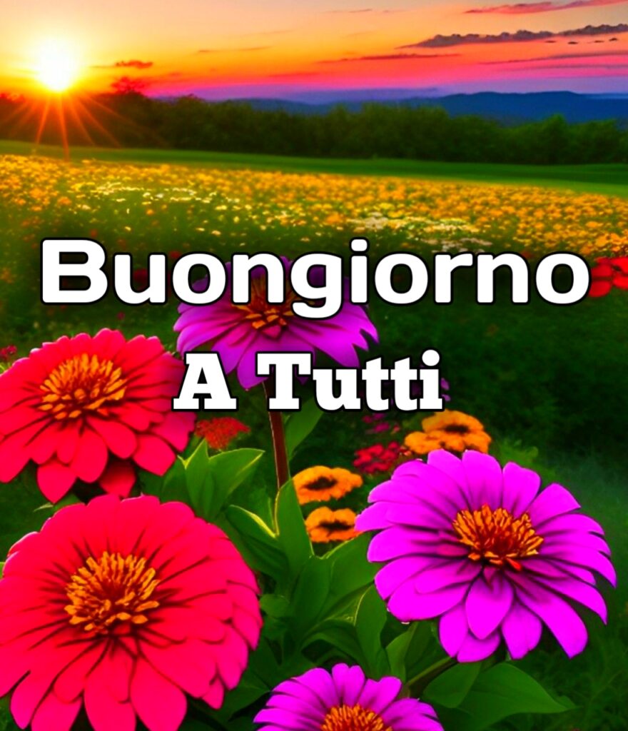 Buongiorno E Buon Mercoledi A Tutti