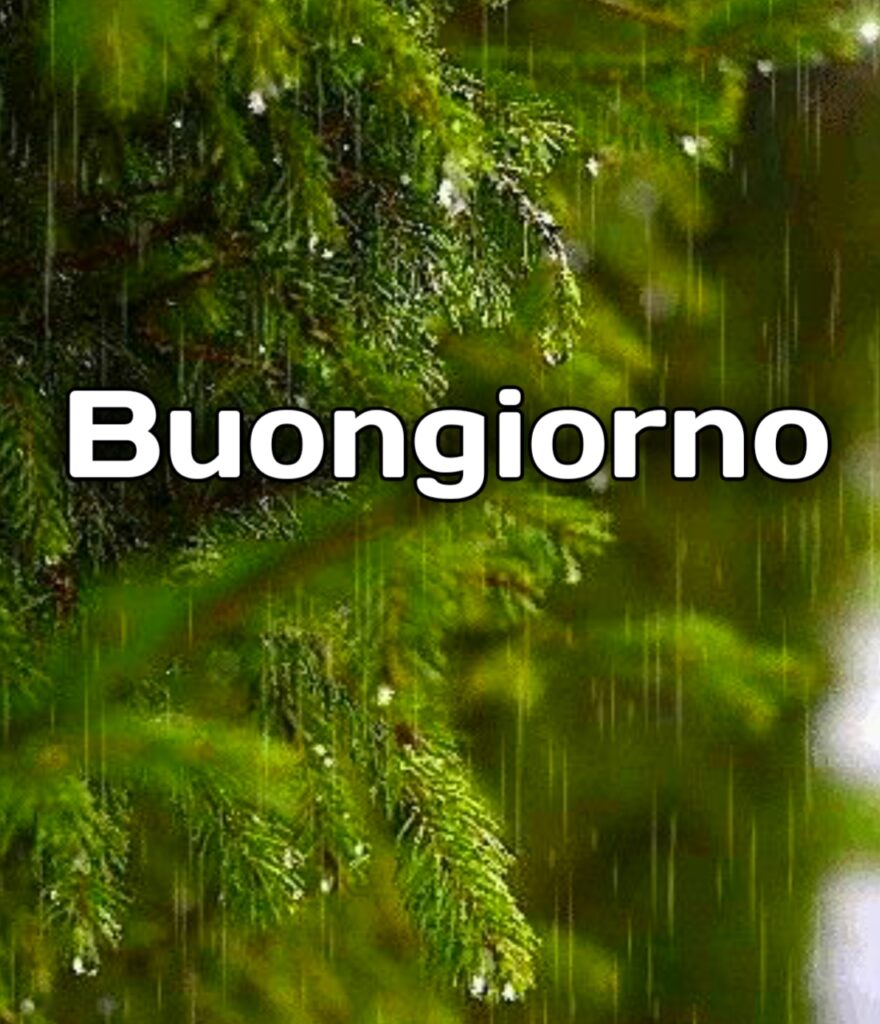 Buongiorno E Buona Domenica Piovosa