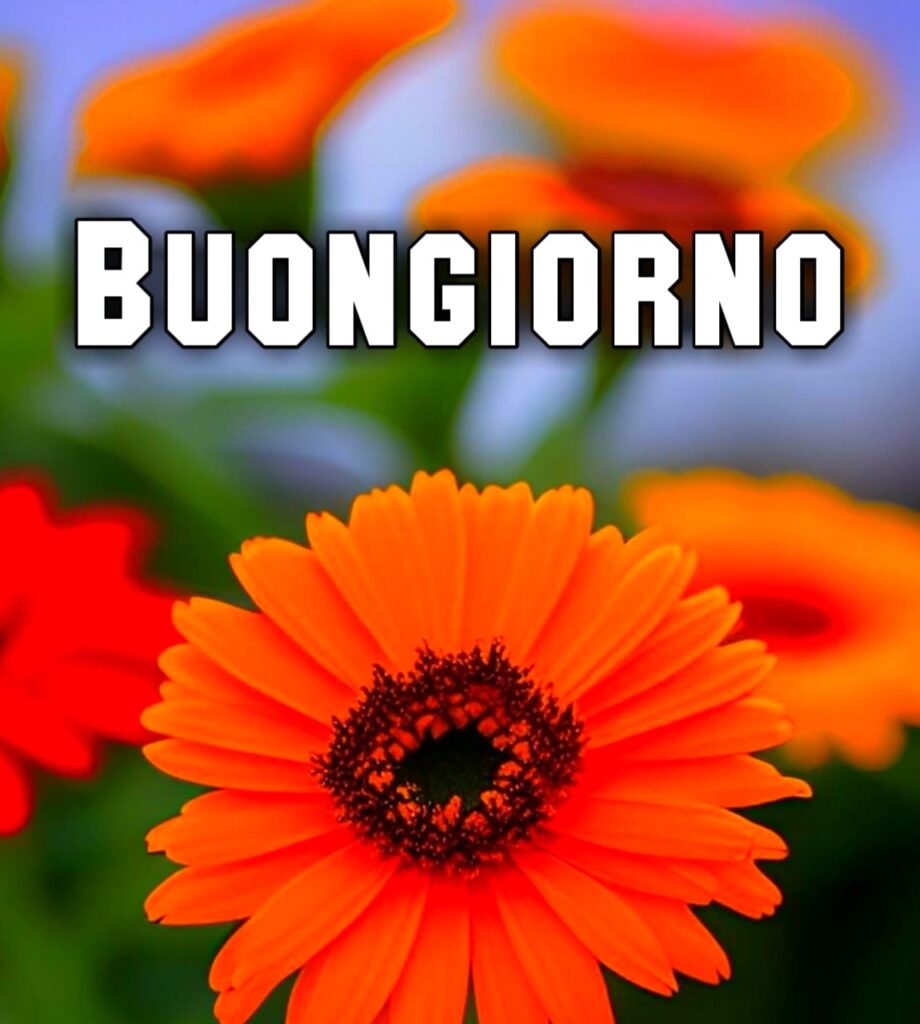 Buongiorno Immagini Nuove Gratis