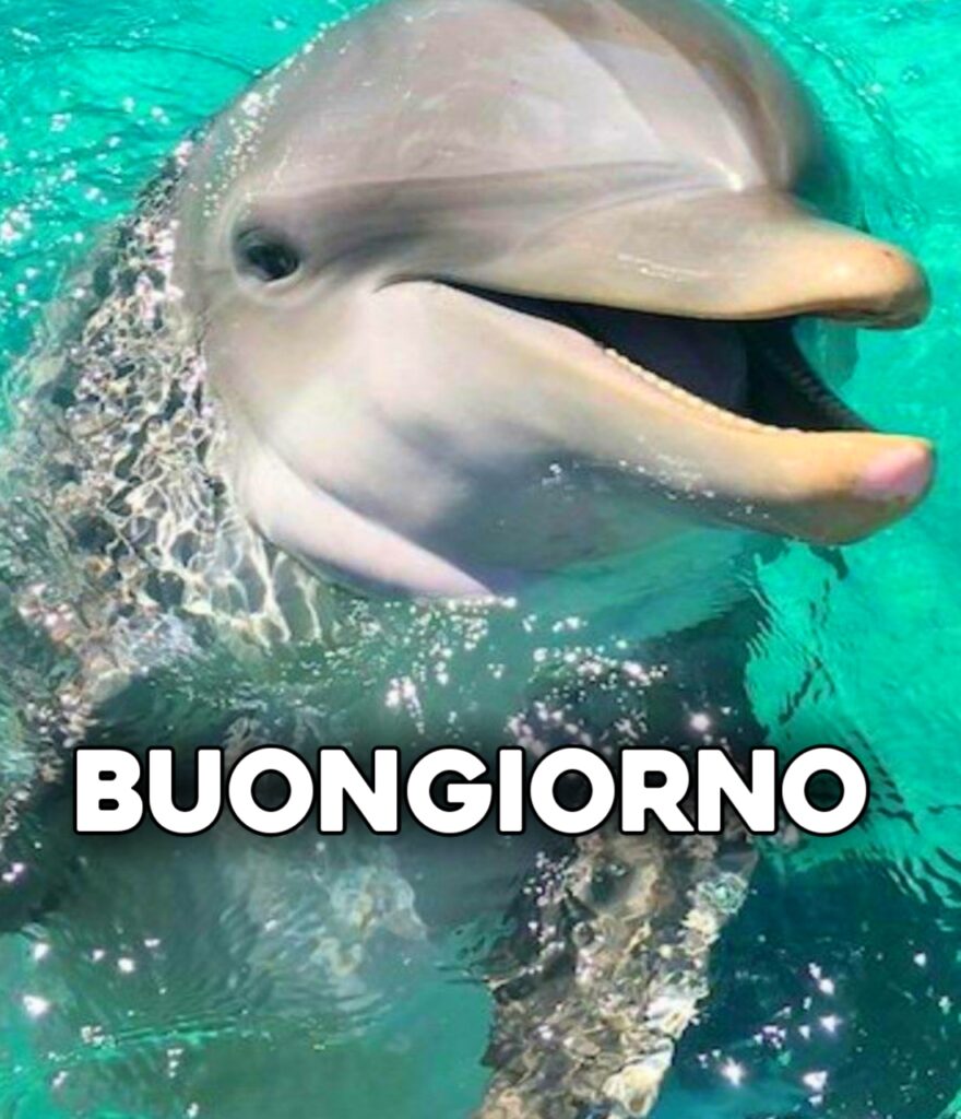 Buongiorno Invernale Divertente