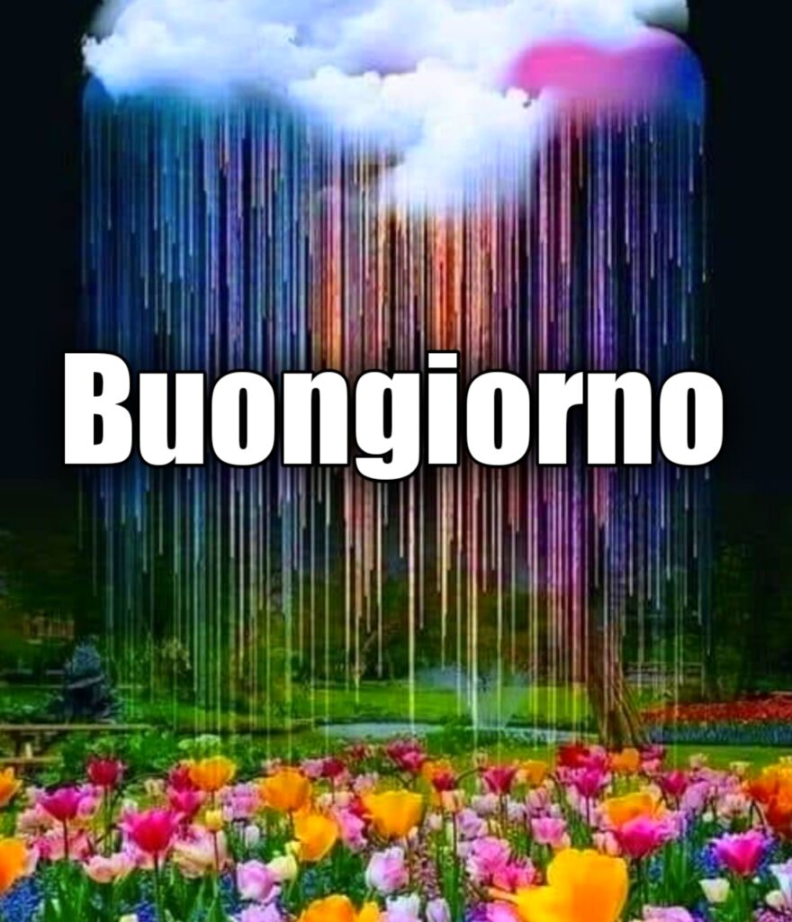 Buongiorno Piovosa