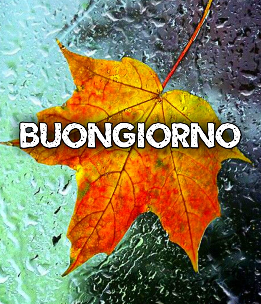 Buongiorno Piovoso Autunnale