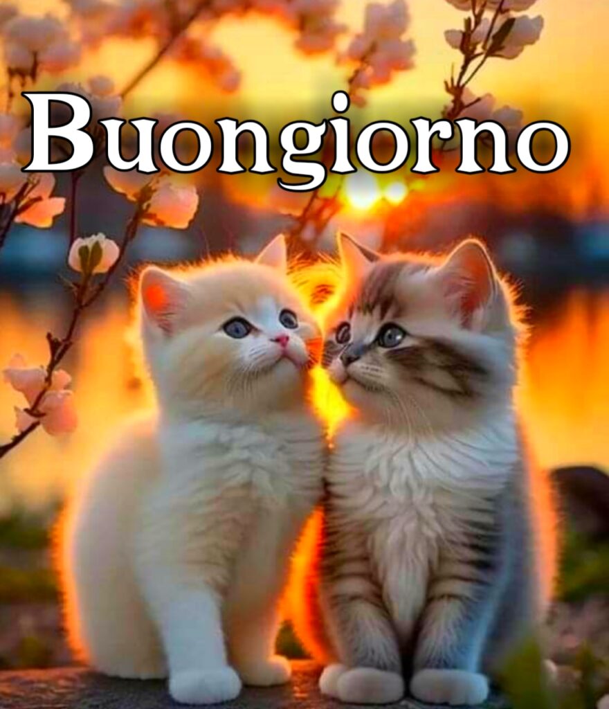 Buongiorno Spiritoso