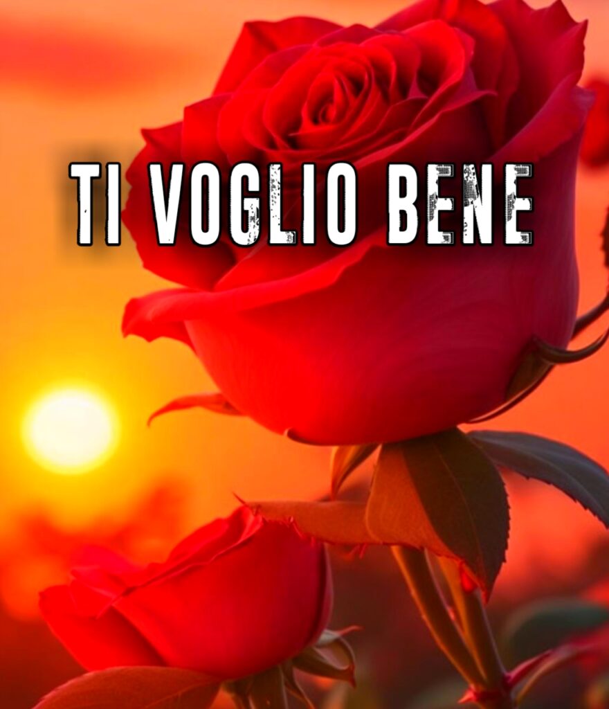 Buongiorno Ti Voglio Bene Immagini