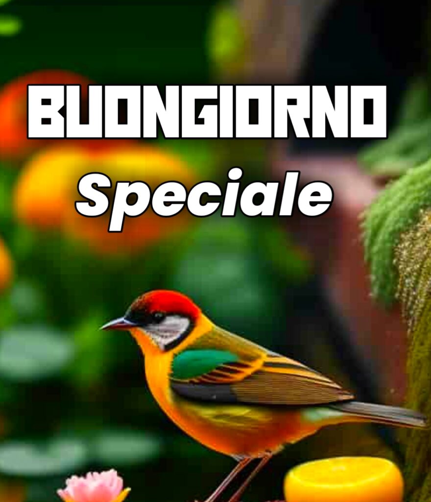 Divertente Buongiorno Amica Speciale