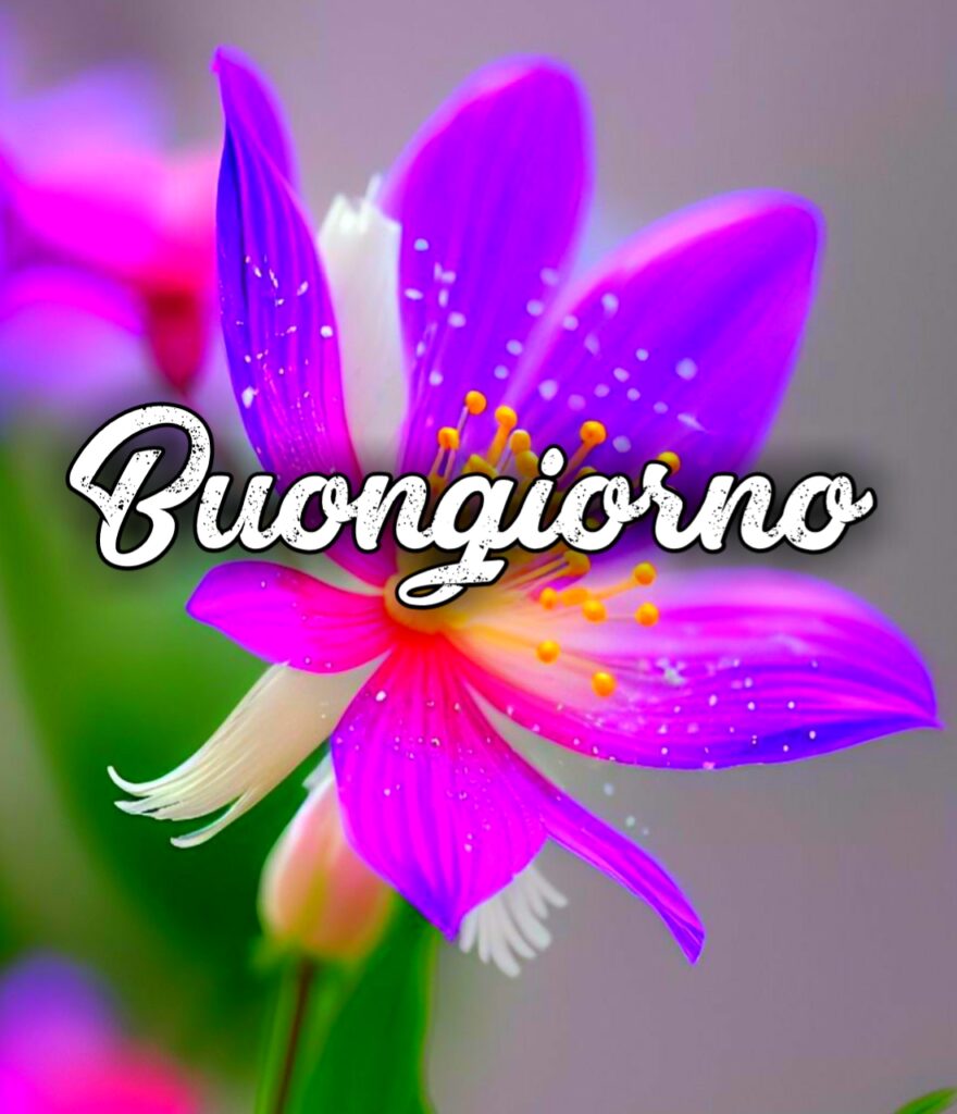 Gif Buongiorno Divertenti Whatsapp Gratis