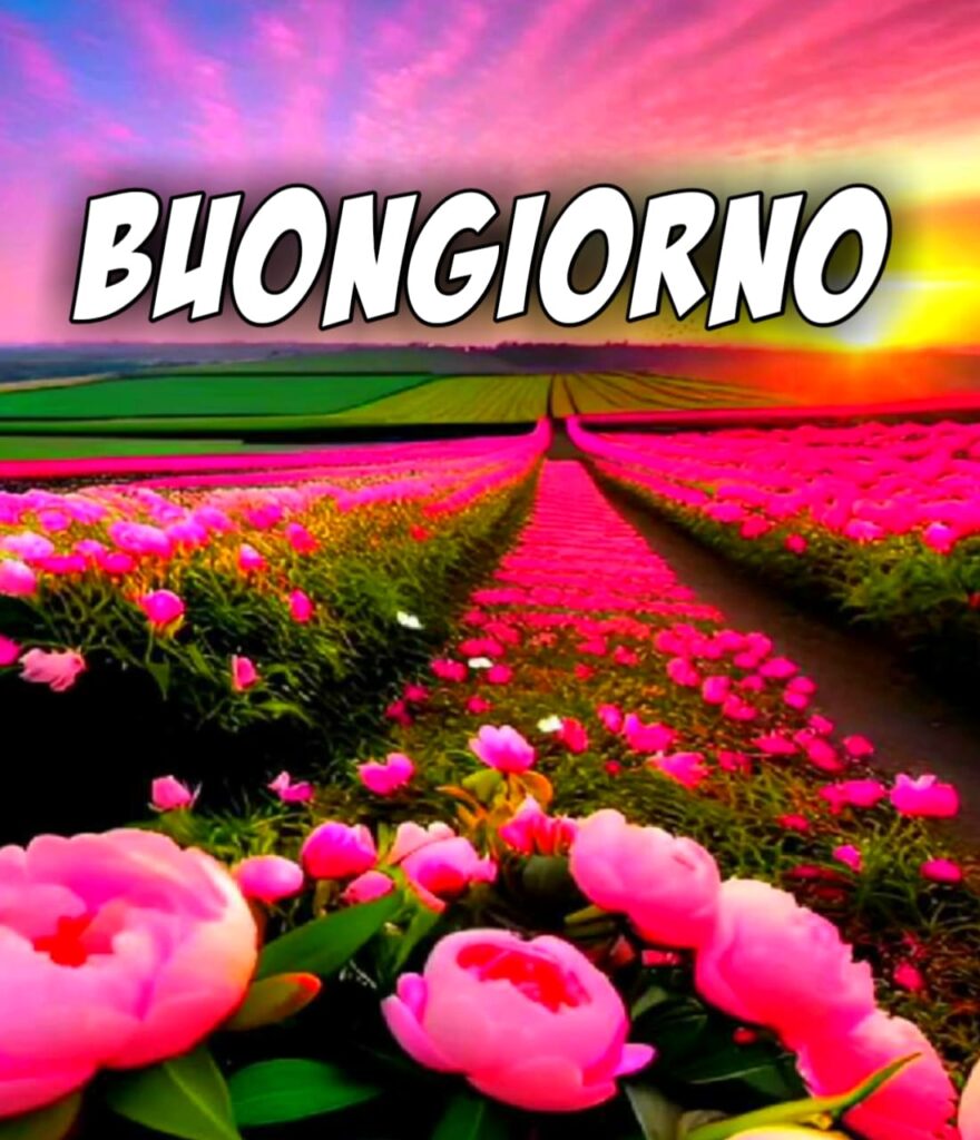 Immagini Buon Giorno