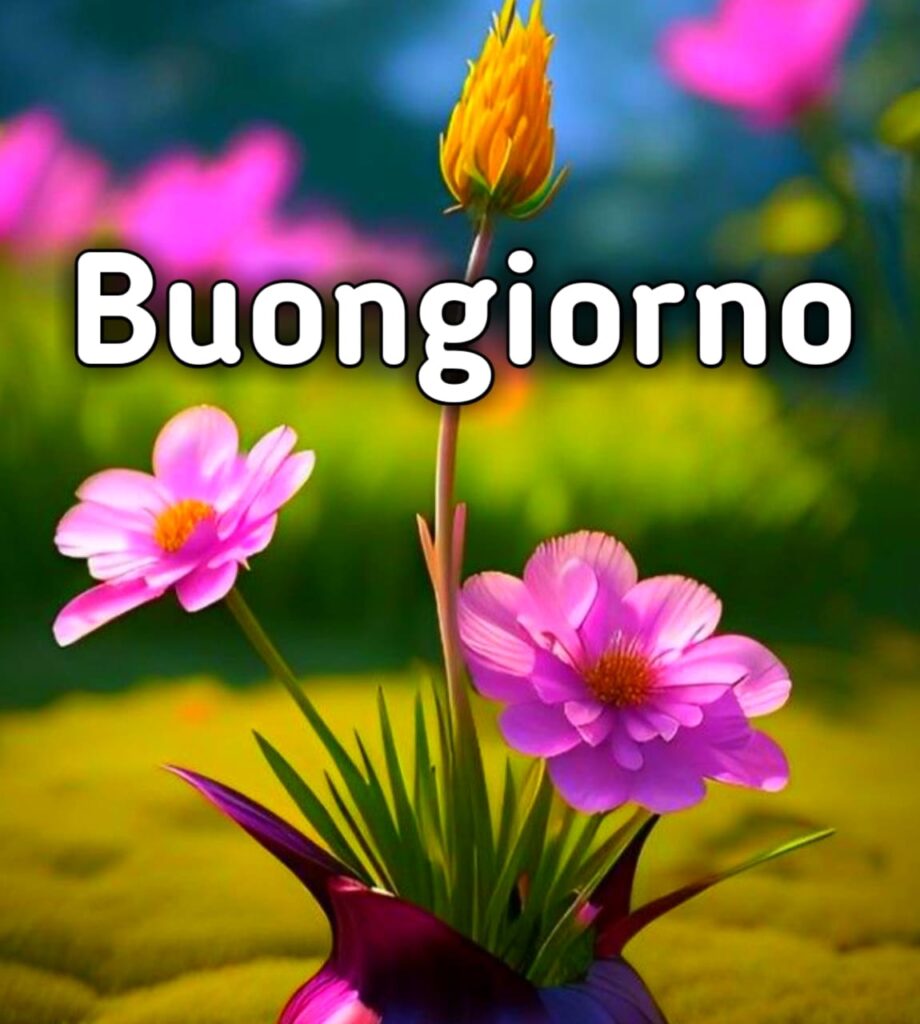 Immagini Buongiorno