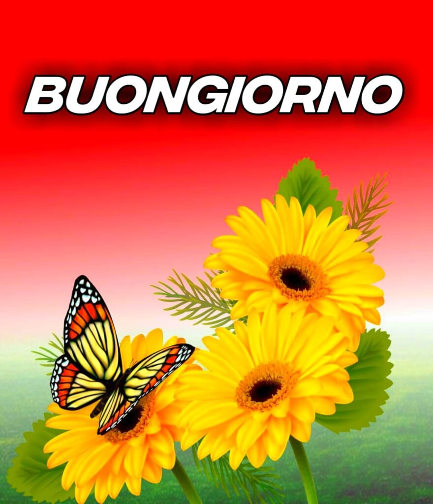 Immagini Buongiorno Gratis Per Whatsapp