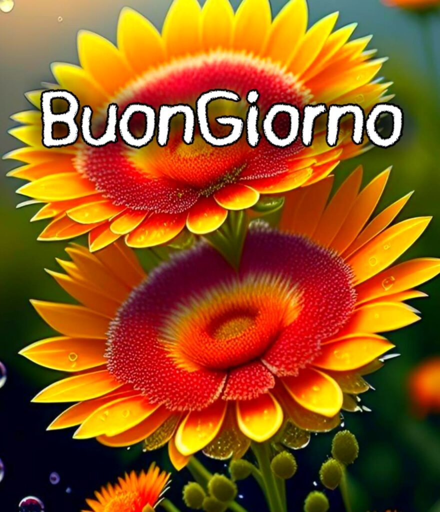 Immagini Buongiorno Nuove