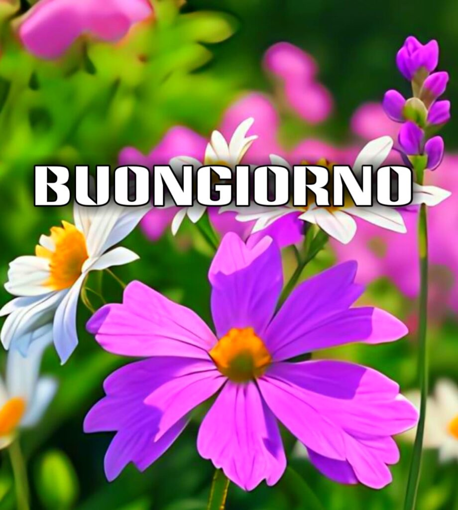 Immagini Di Buongiorno