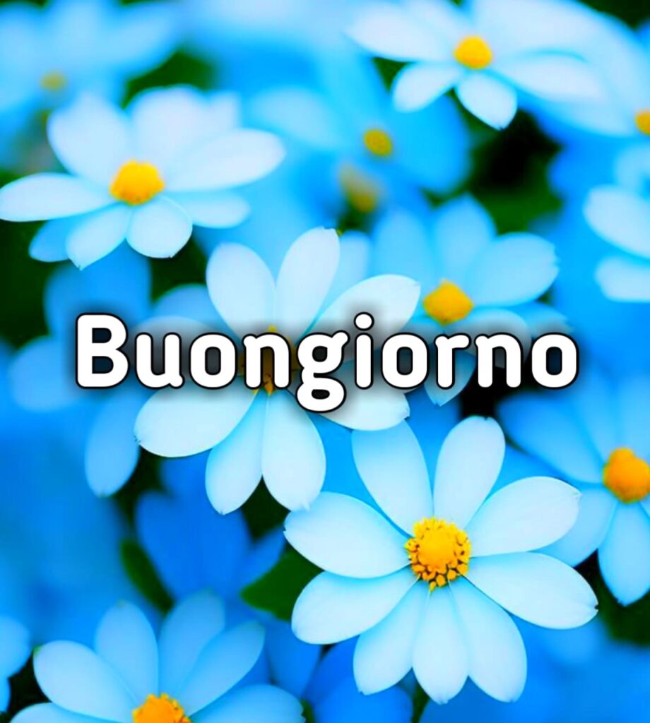 Immagini Di Buongiorno Bellissimi