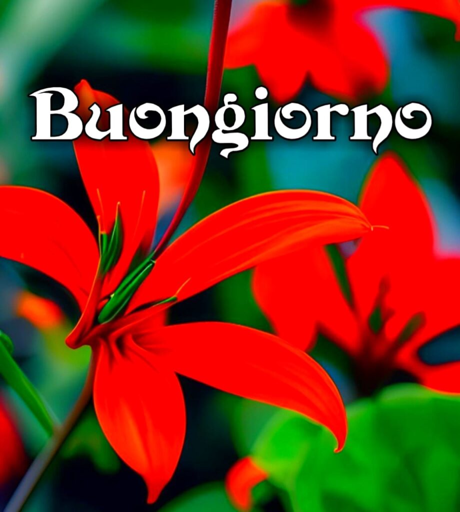 Le Ali Del Sorriso Buongiorno Immagini Nuove Gratis