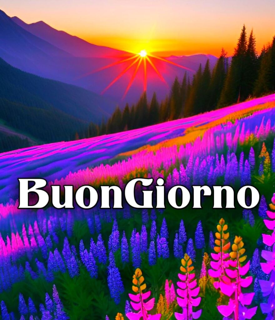 Le Fate Del Sole Buongiorno Immagini Nuove Gratis Per Whatsapp Buona Domenica