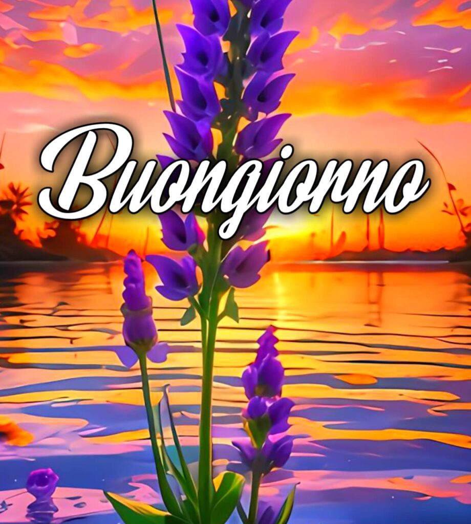 Whatsapp Bellissime Buongiorno Immagini Nuove