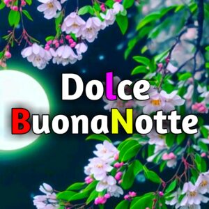 Read more about the article 5200+ Dolce Buonanotte Immagini,GIF, Fotos Nuove Gratis 2025