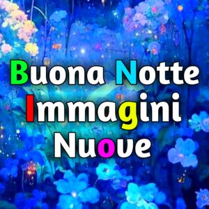 Read more about the article Buona Notte Immagini Nuove 2025 Gratis