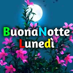 Read more about the article Buonanotte Lunedi Immagini, GIF Nuove Gratis 2025