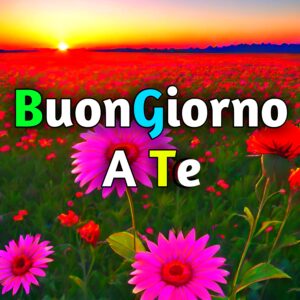 Read more about the article Buongiorno A Te Immagini e Fotos Nuove Gratis 2025