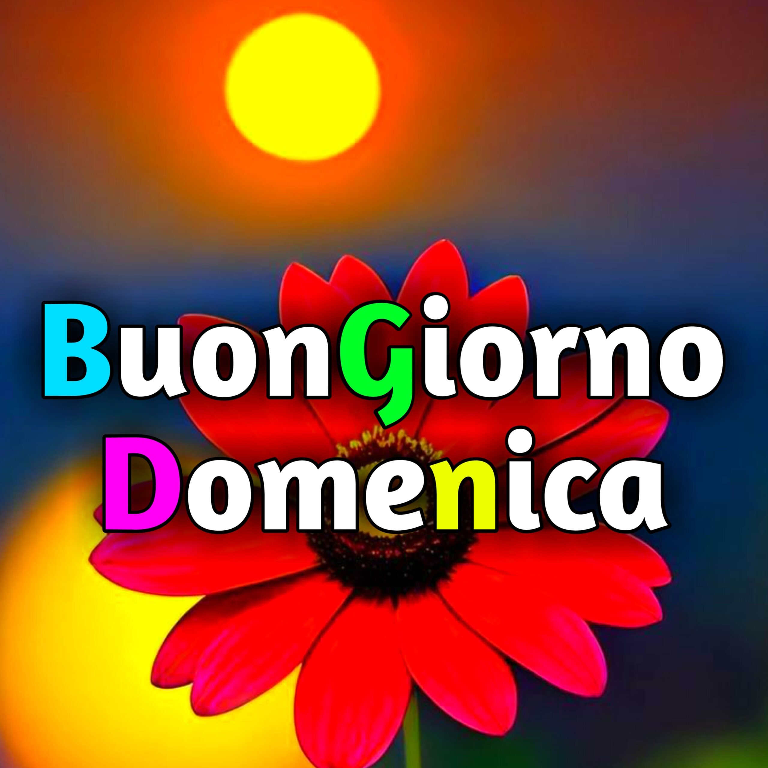 You are currently viewing Buongiorno Domenica Immagini, GIF Nuove Gratis 2025