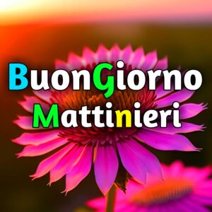 Read more about the article Buongiorno Mattinieri Immagini, GIF, Fotos Nuove Gratis 2025