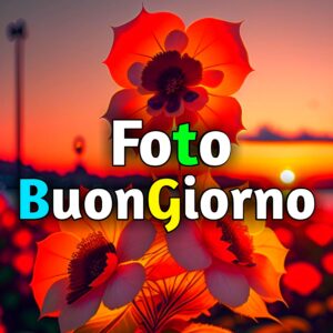 Read more about the article Foto Buongiorno Bellissimi Nuove Gratis 2025