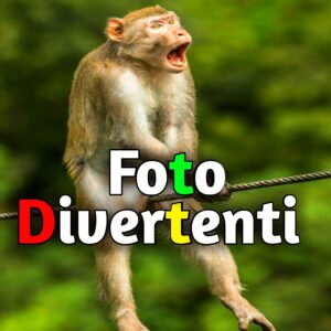 Read more about the article Foto Divertenti per Whatsapp Nuove Gratis 2025