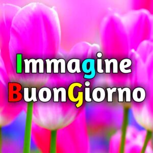 Read more about the article Immagine Buongiorno Nuove Gratis 2025